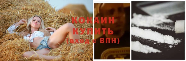 хмурый Аркадак