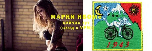 хмурый Аркадак