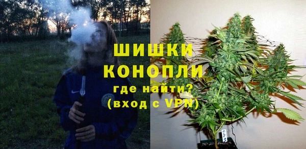 хмурый Аркадак