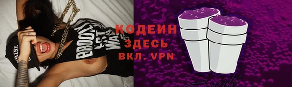 прущий лед Арсеньев