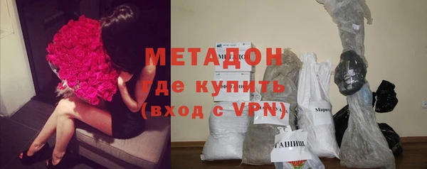 хмурый Аркадак