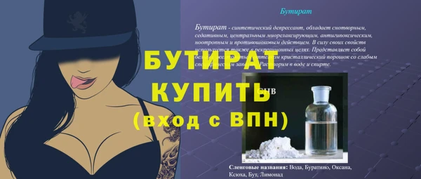 хмурый Аркадак