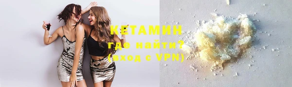 хмурый Аркадак