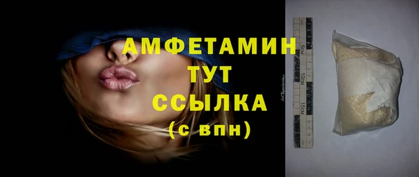 хмурый Аркадак
