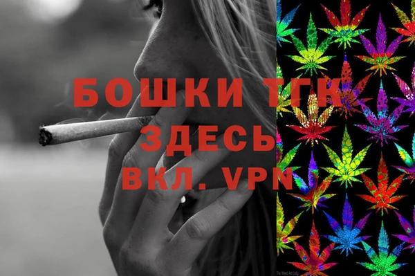хмурый Аркадак