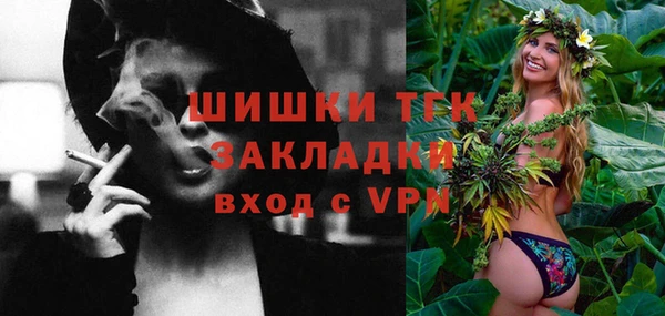 хмурый Аркадак