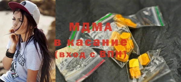 хмурый Аркадак
