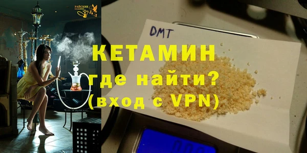хмурый Аркадак